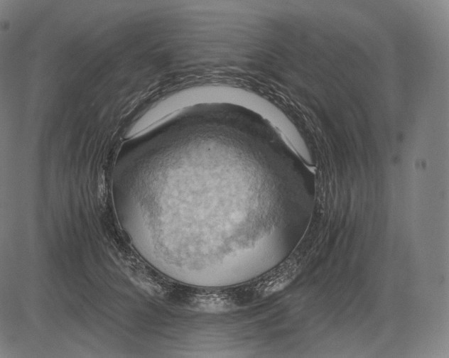 X0000084530704200703091628