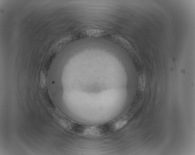 X0000084530705200703091628