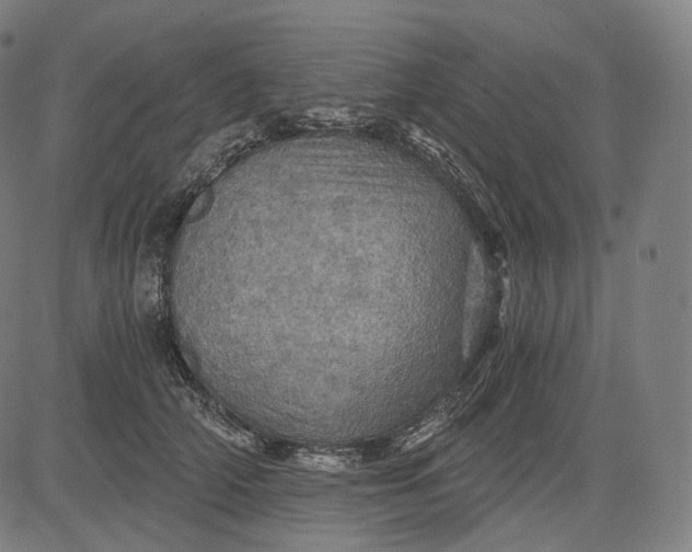 X0000084530706200703091628