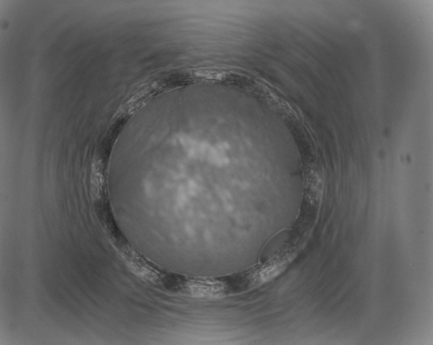 X0000084530707200703091628