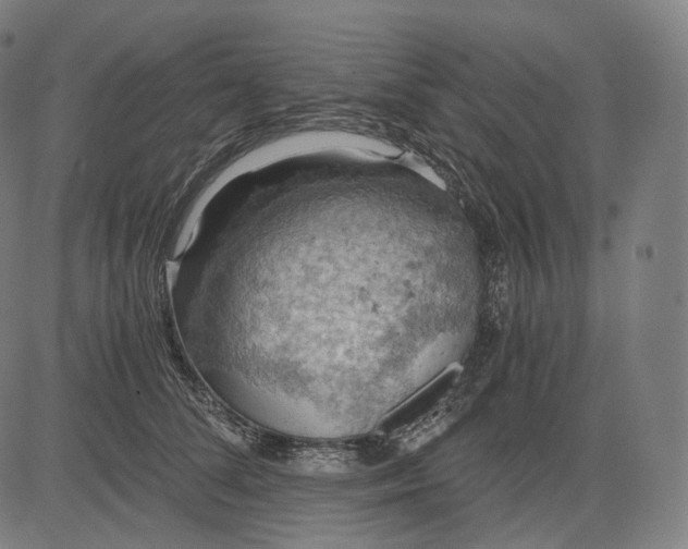 X0000084530708200703091628