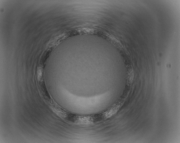 X0000084530709200703091628