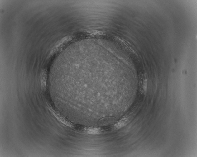 X0000084530710200703091628