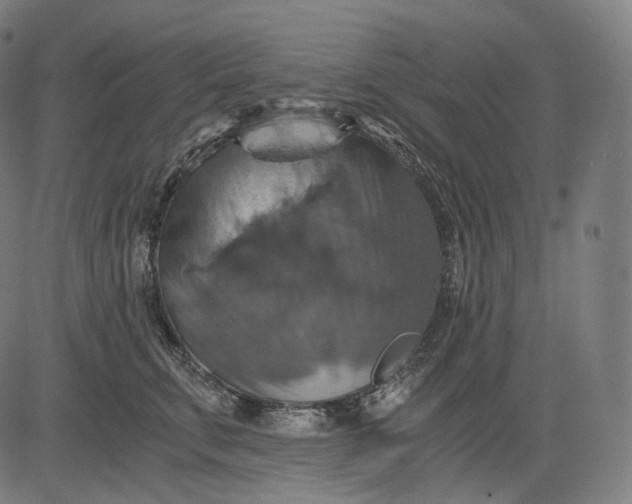 X0000084530711200703091628