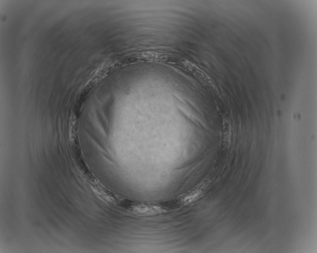 X0000084530712200703091628