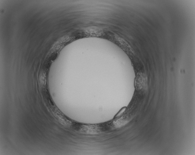 X0000084530713200703091628