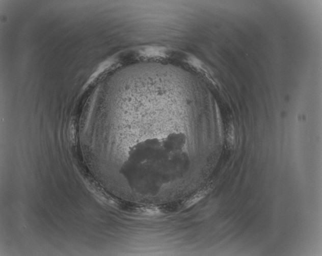 X0000084530715200703091628