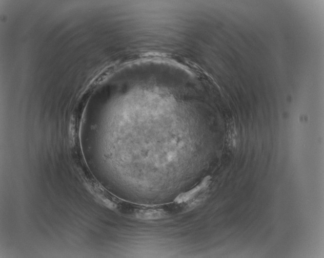 X0000084530716200703091628