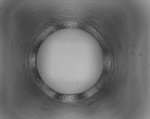 X0000084530717200703091628