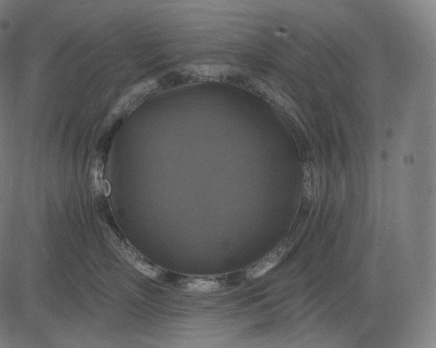 X0000084530718200703091628