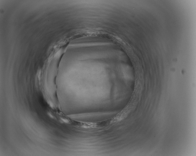 X0000084530720200703091628