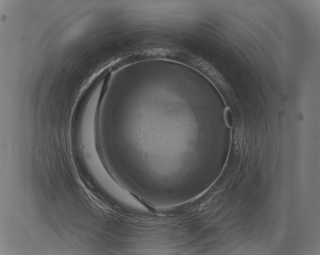 X0000084530722200703091627