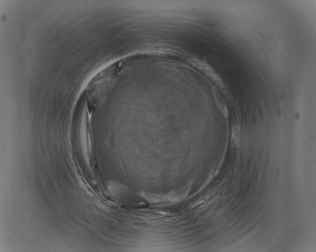 X0000084530724200703091627