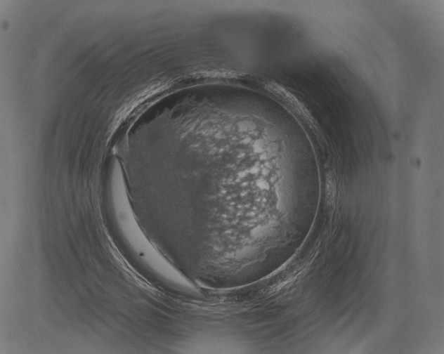 X0000084530725200703091627