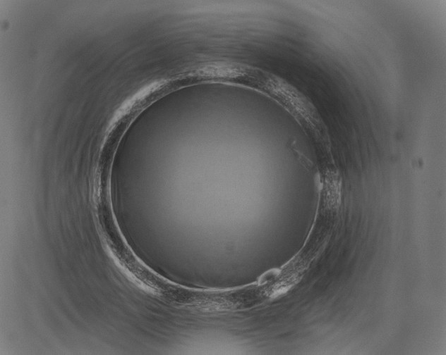 X0000084530726200703091627