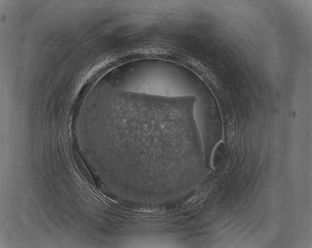 X0000084530727200703091627