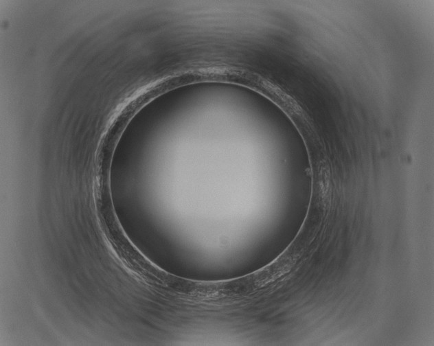 X0000084530728200703091627