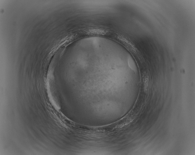 X0000084530729200703091627