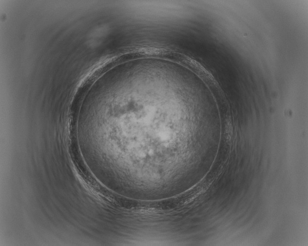 X0000084530730200703091627