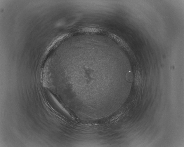 X0000084530731200703091627