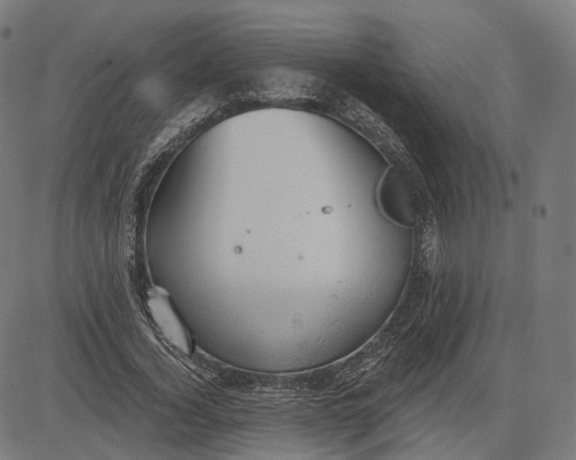 X0000084530732200703091627