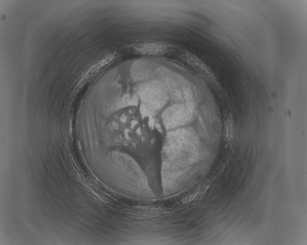 X0000084530733200703091627