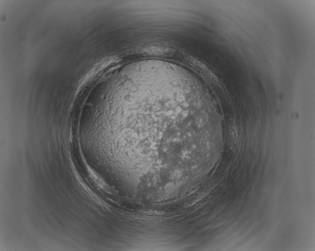 X0000084530734200703091627