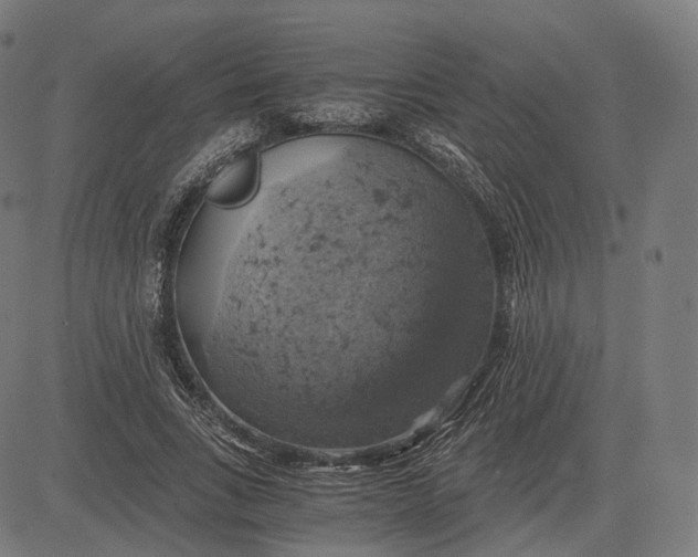 X0000084530735200703091627