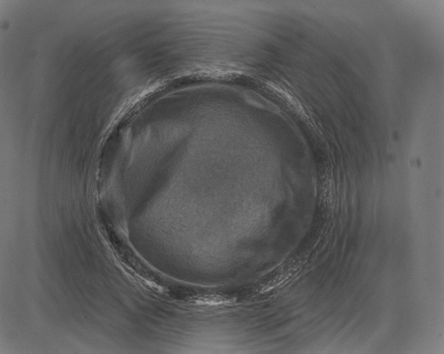 X0000084530736200703091627