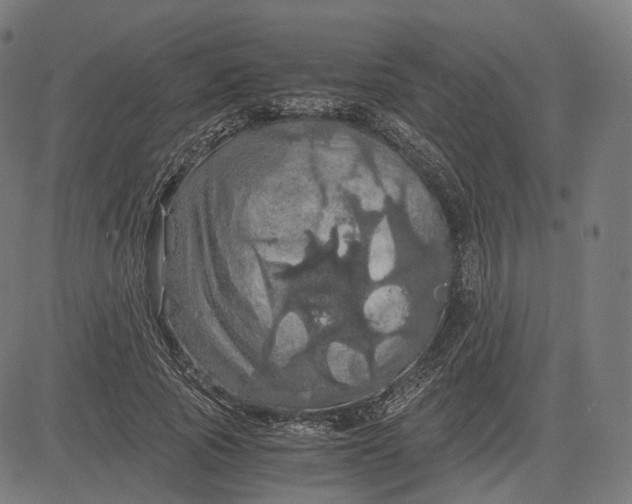 X0000084530737200703091627