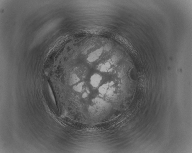 X0000084530738200703091627