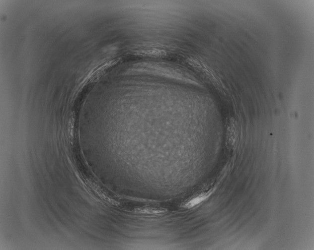 X0000084530739200703091627