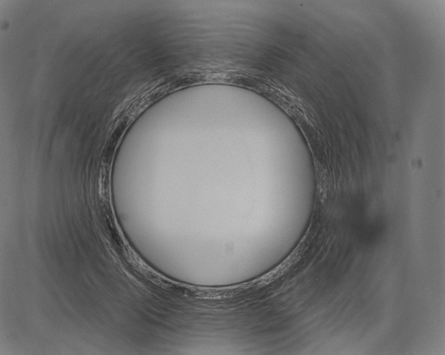 X0000084530740200703091627