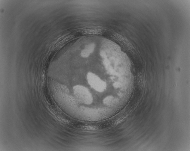 X0000084530741200703091627