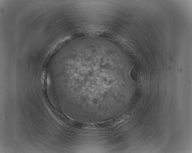 X0000084530742200703091627