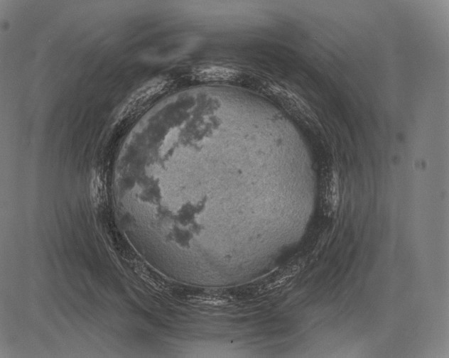 X0000084530743200703091627