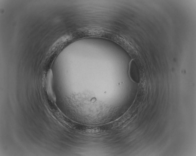 X0000084530744200703091627