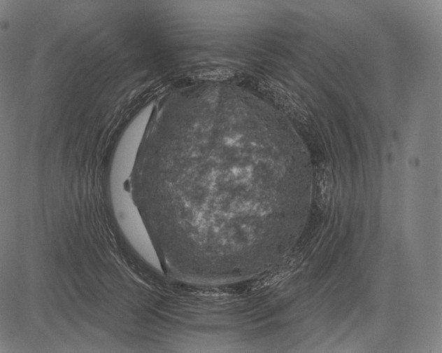 X0000084530745200703091627