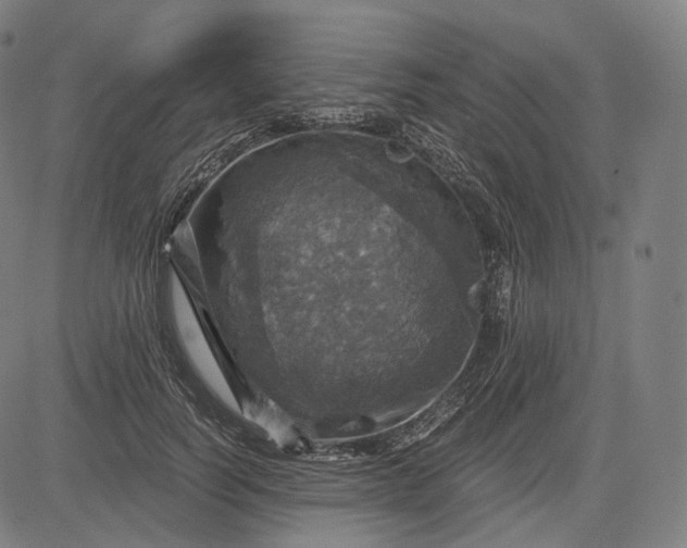 X0000084530746200703091627