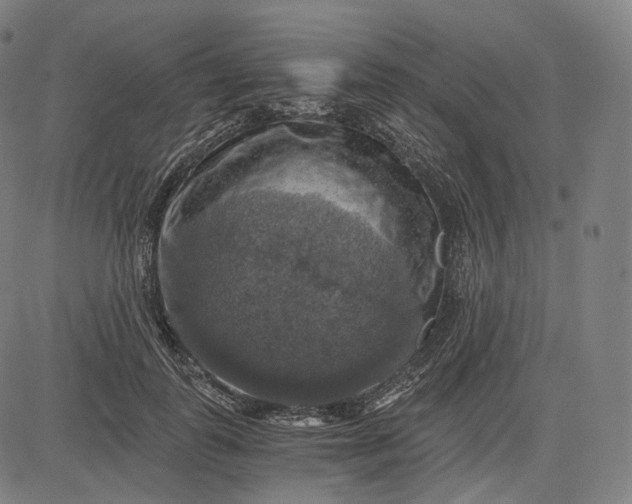 X0000084530747200703091627