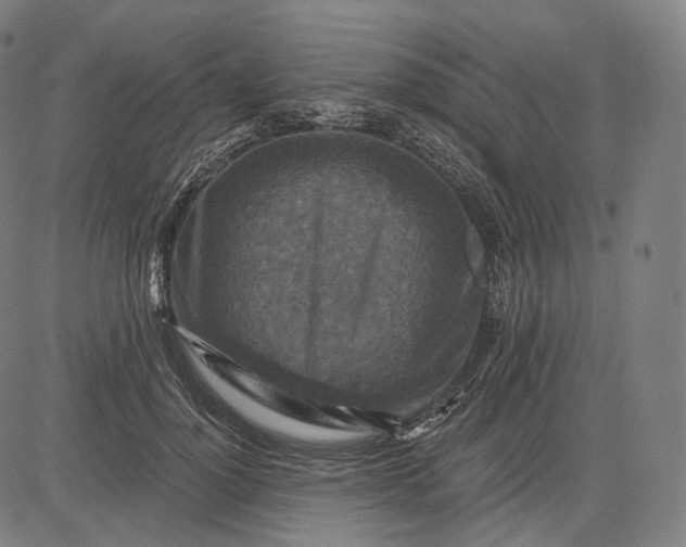 X0000084530748200703091627