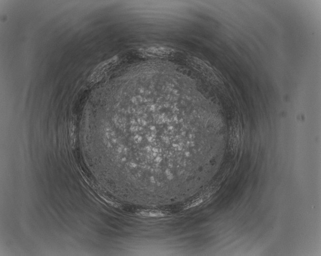 X0000084530749200703091627