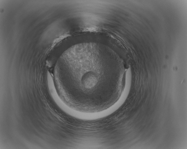 X0000084530750200703091627