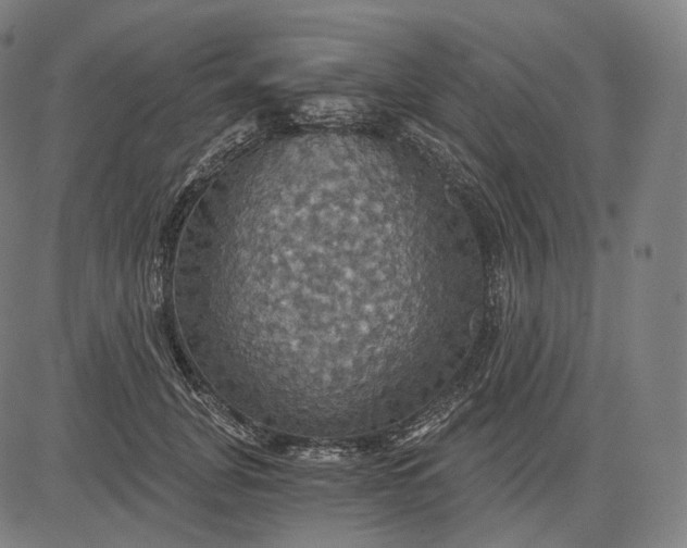 X0000084530751200703091627