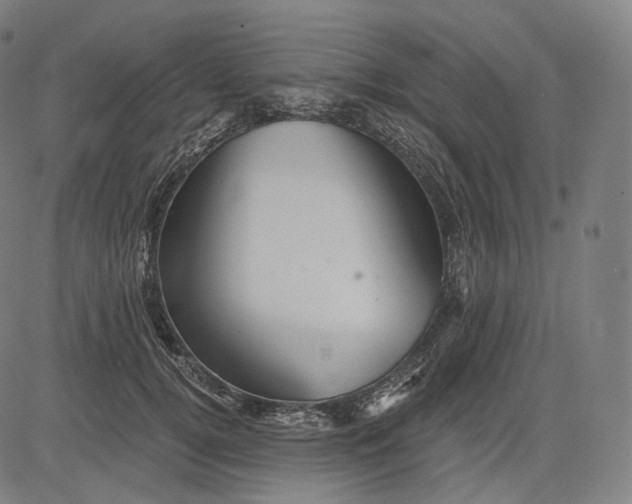 X0000084530752200703091627