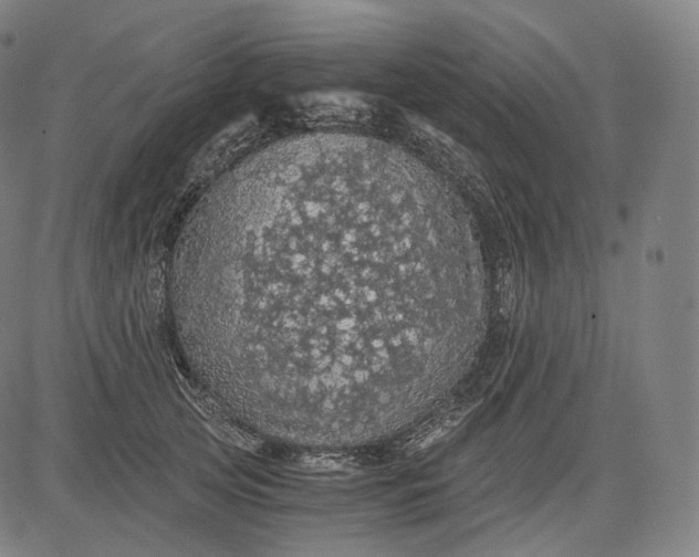 X0000084530753200703091627