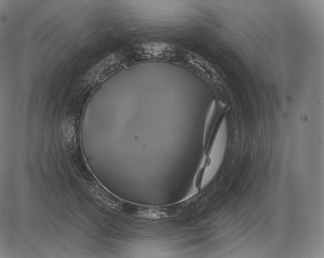 X0000084530754200703091628