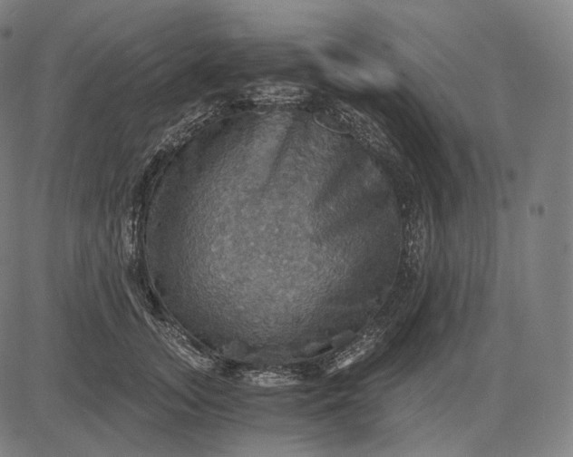 X0000084530755200703091628