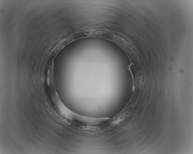 X0000084530756200703091628