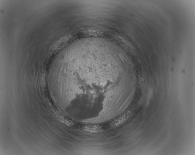 X0000084530757200703091628